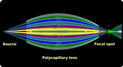 Policapillare (15K)